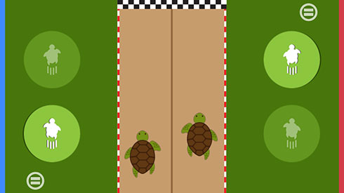 turtle race